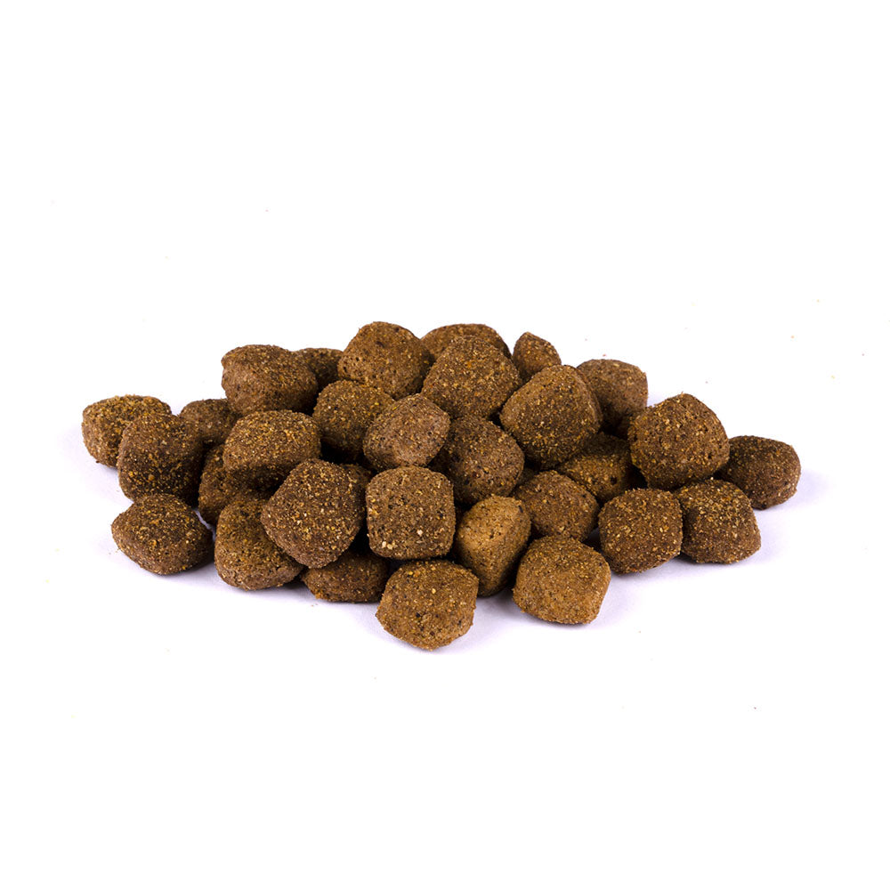 Bild von mehreren Kroketten des Produktes: Christopherus Hund Trockenfutter Senior älterer Hund