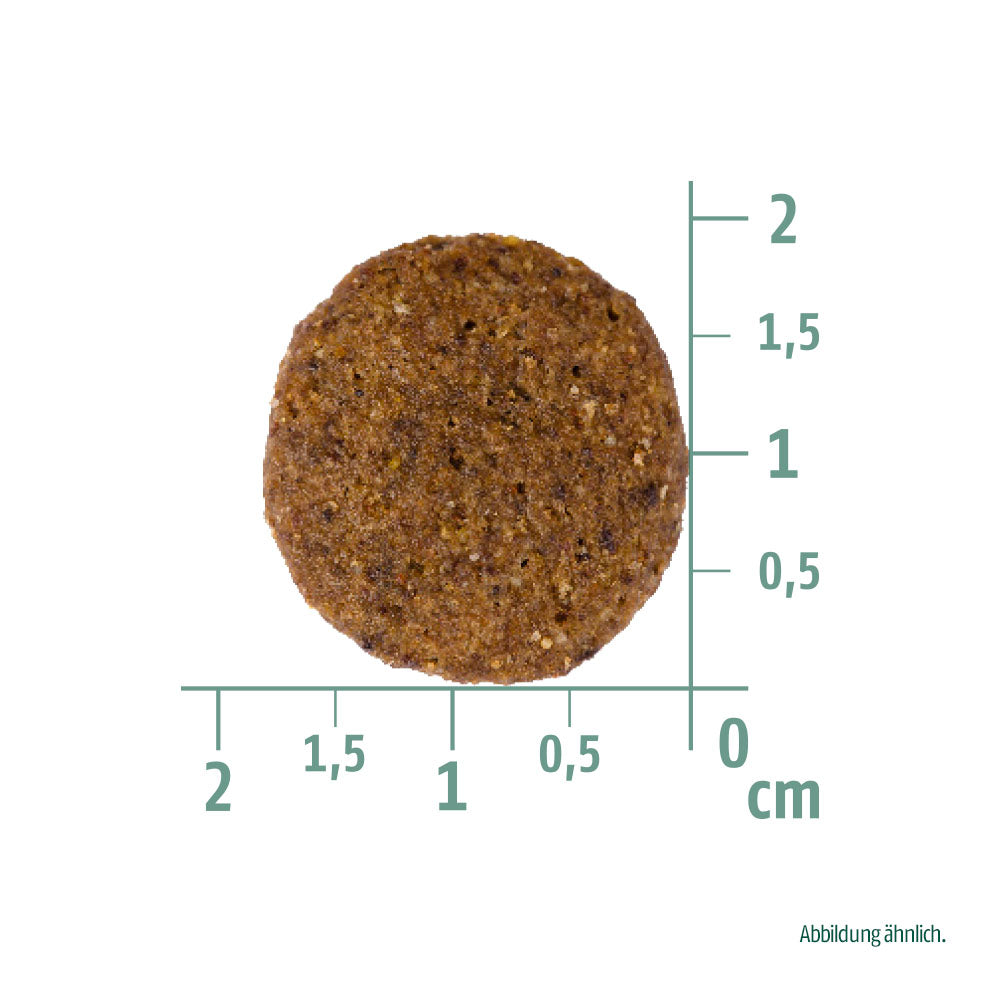 Bild von der Größe der Krokette des Produktes: Christopherus Hund Trockenfutter Erwachsener Hund
