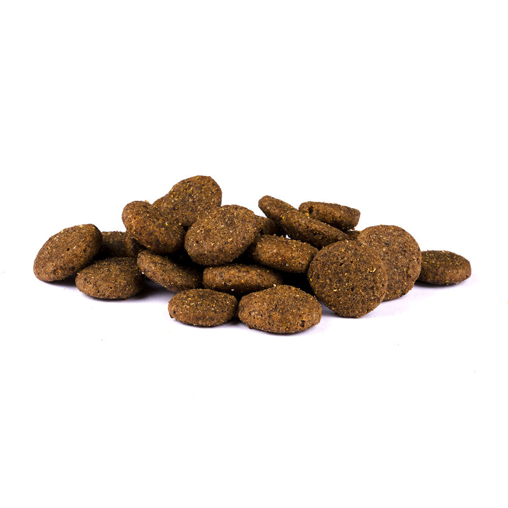 Bild von mehreren Kroketten des Produktes: Christopherus Hund Trockenfutter Erwachsener Hund