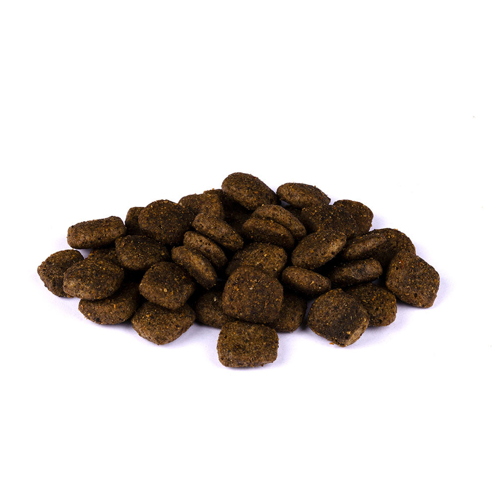 Bild von mehreren Kroketten des Produktes: Christopherus Premium getreidefreies Trockenfutter für ältere Hunde Senior - Ente + Kartoffel