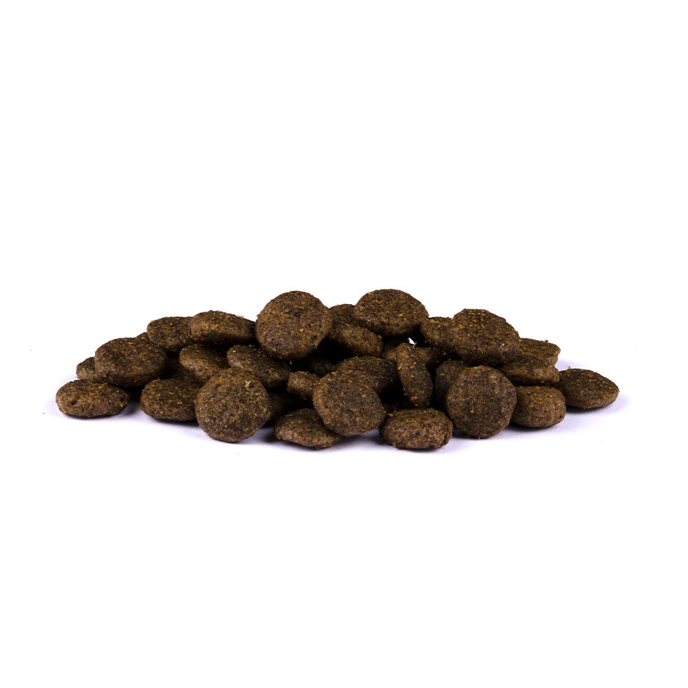 Bild von mehreren Kroketten des Produktes: Christopherus Premium getreidefreies Trockenfutter für adulte Hunde - Ente + Kartoffel