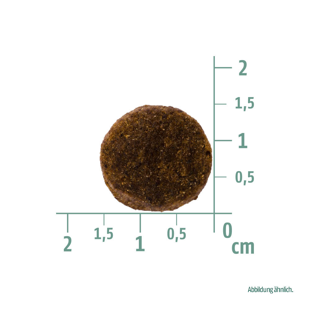 Bild von der Größe der Krokette des Produktes: Christopherus Premium getreidefreies Trockenfutter für adulte übergewichtige Hunde - Leichte Kost - Lamm + Kartoffel