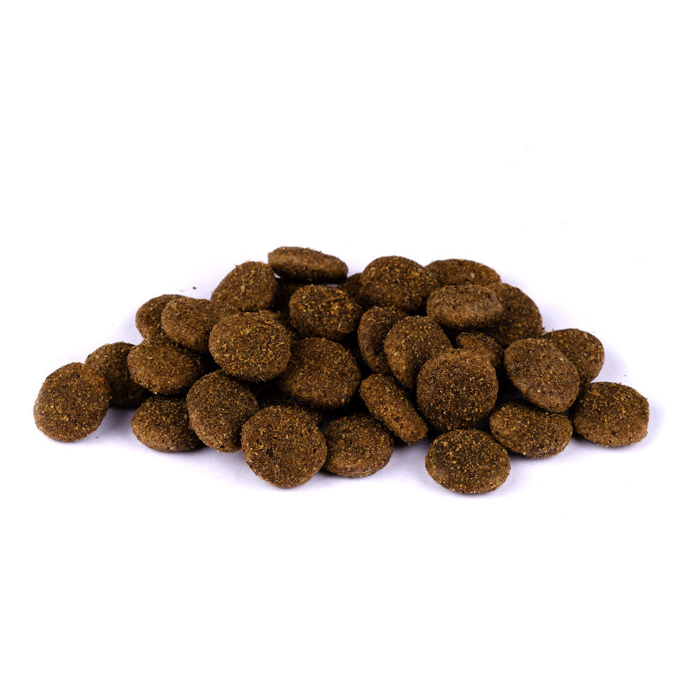 Bild von mehreren Kroketten des Produktes: Christopherus Premium getreidefreies Trockenfutter für adulte übergewichtige Hunde - Leichte Kost - Lamm + Kartoffel