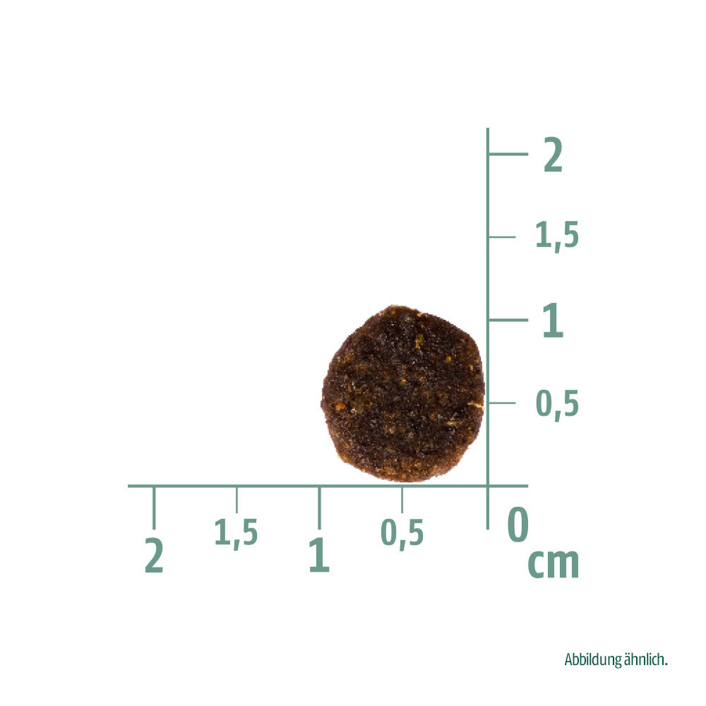 Bild von der Größe der Krokette des Produktes: Christopherus Premium getreidefreies Trockenfutter für Welpen und Junghunde Puppy - Lamm + Kartoffel