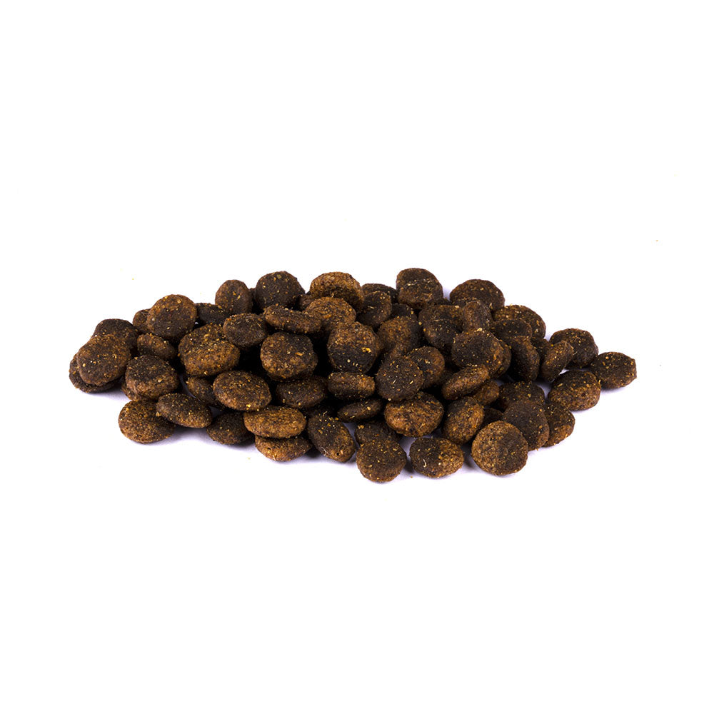 Bild von mehreren Kroketten des Produktes: Christopherus Premium getreidefreies Trockenfutter für Welpen und Junghunde Puppy - Lamm + Kartoffel