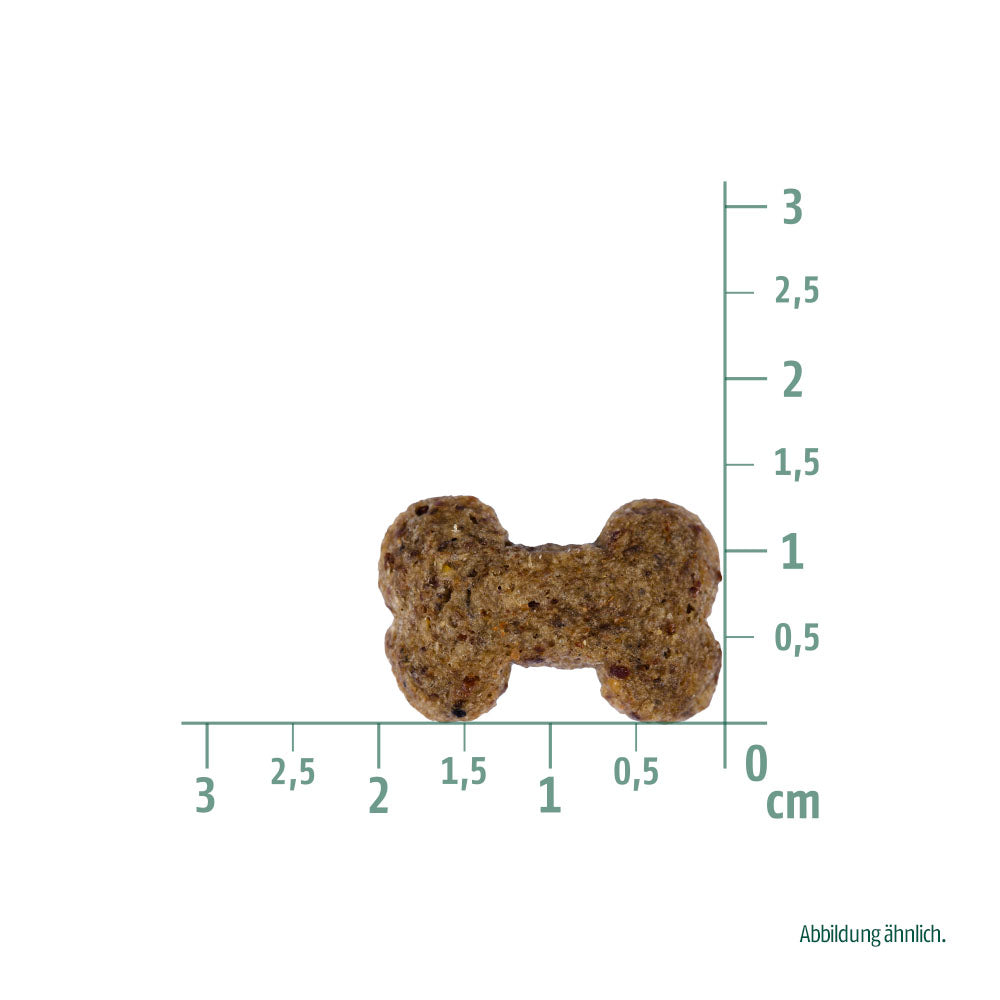 Bild von der Größe des Snacks vom Produkt: Christopherus Hund Crunchy Cracker Vegetarisch Vegetarian Snack Apfel mit Linsen 125g