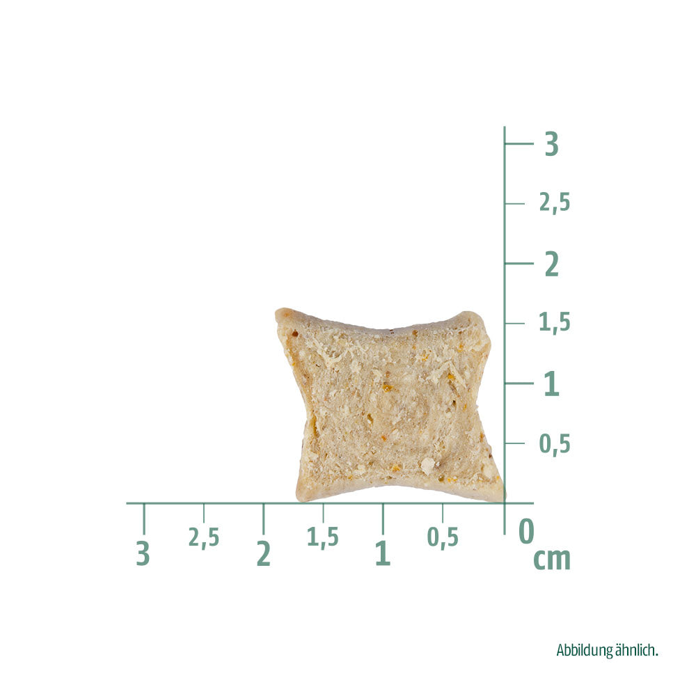 Bild von der Größe des Snacks: Christopherus Hund Soft Snack Vegetarisch Vegetarian Tapioka mit Kürbis 125g