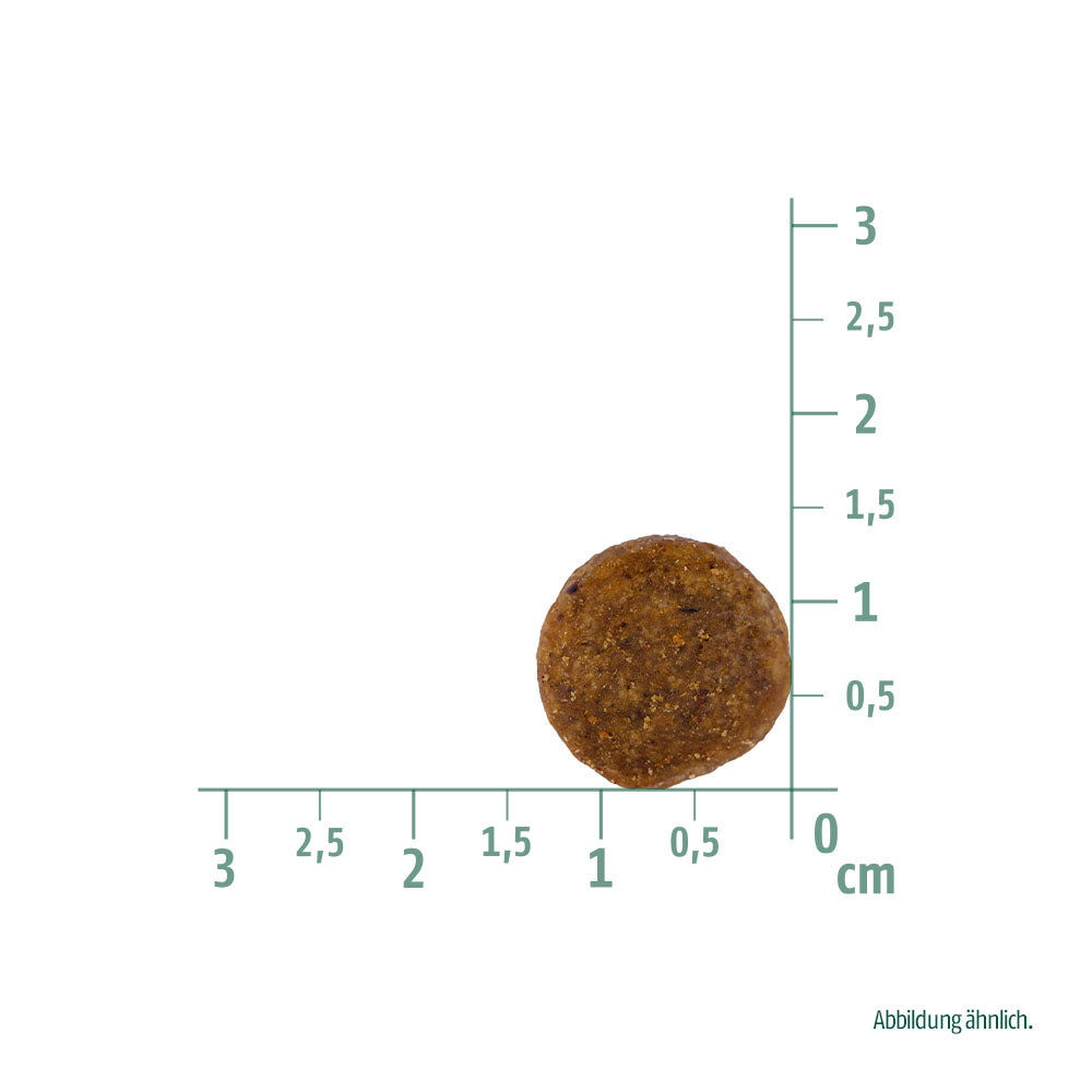 Bild von der Größe der Krokette vom Produkt: Christopherus Hund Trockenfutter Vegetarisch Vegetarian Erbse Tapioka mit Kürbis 1kg