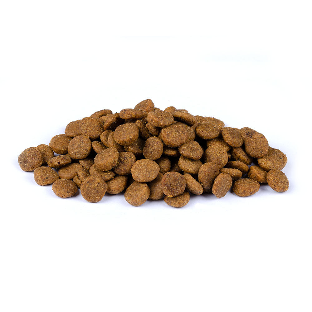 Bild von mehreren Kroketten vom Produkt: Christopherus Hund Trockenfutter Vegetarisch Vegetarian Erbse Tapioka mit Kürbis 1kg