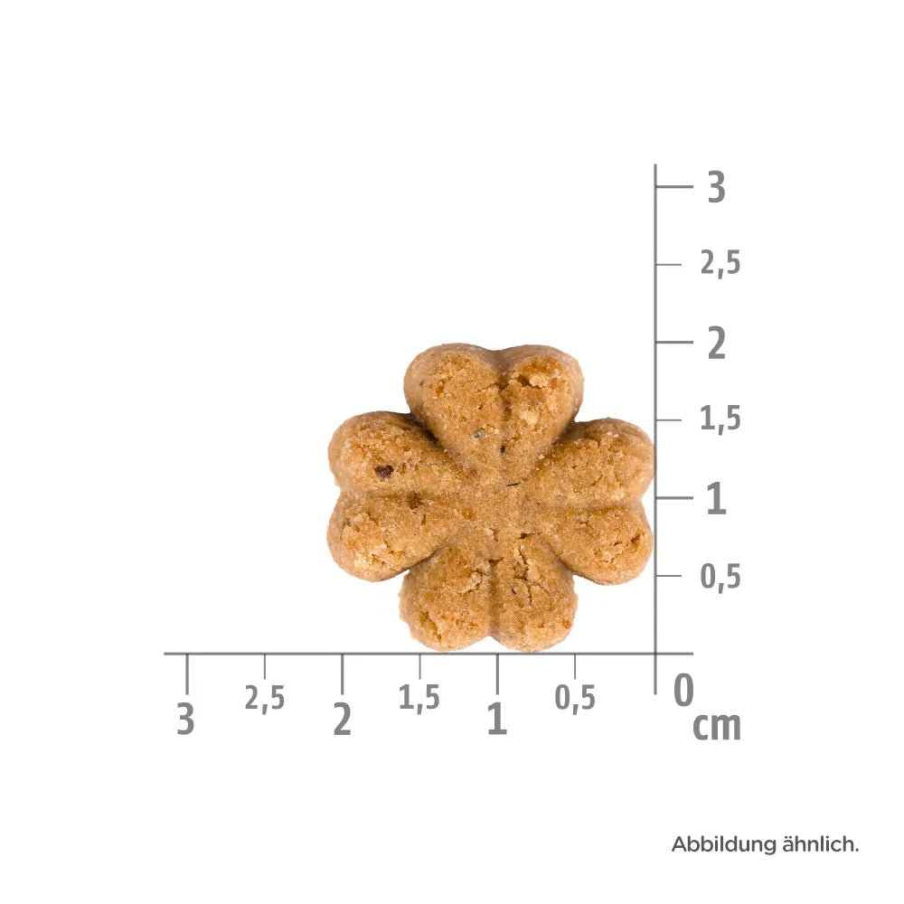 Bild von der Größe des Snacks des Produktes: Allco getreidefreie gebackene Hundekuchen Snacks für adulte Hunde - Rindhappen lose im 10kg Karton