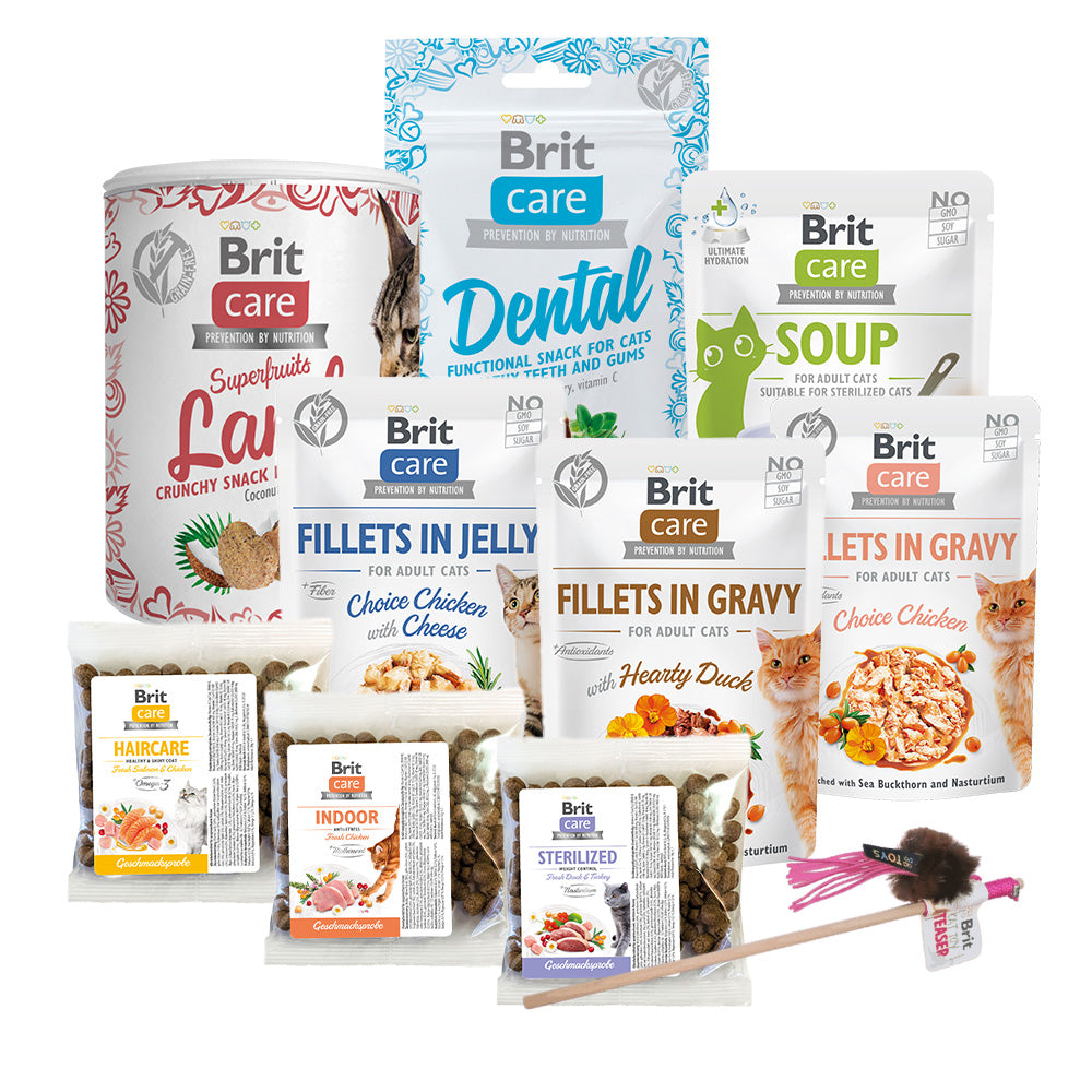 Brit_Care_Cat_Katze_Premium_Christmas_Weihnachten_Limited_Weihnachtsbox_Inhalt.jpg