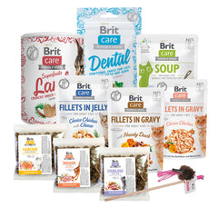 Weihnachtsbox für Katzen