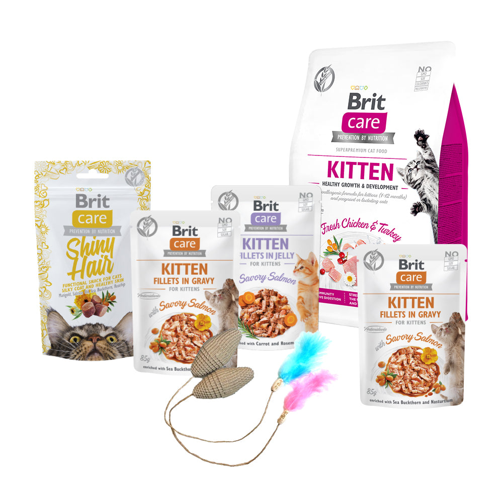 Bild vom Produkt: Brit Care Cat Katze Premium Kittenbox Inhalt