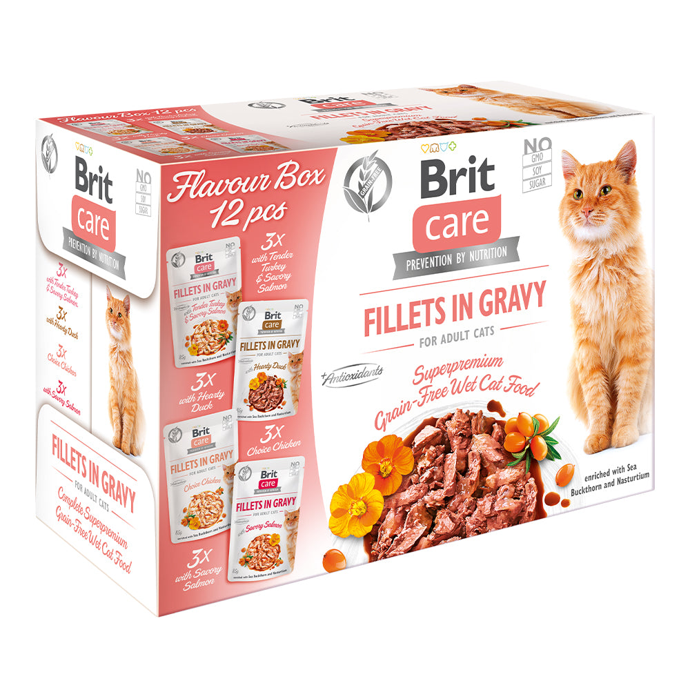 Bild vom Produkt: Brit Care Cat Premium Nassfutter Filets in Soße für adulte Katzen - 12er Multipack