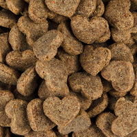Crunchy Snack - Insekt mit Kokos und Hagebutte - Hypoallergen