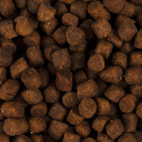 Trockenfutter - Kitten - Huhn und Truthahn - Healthy Growth & Development