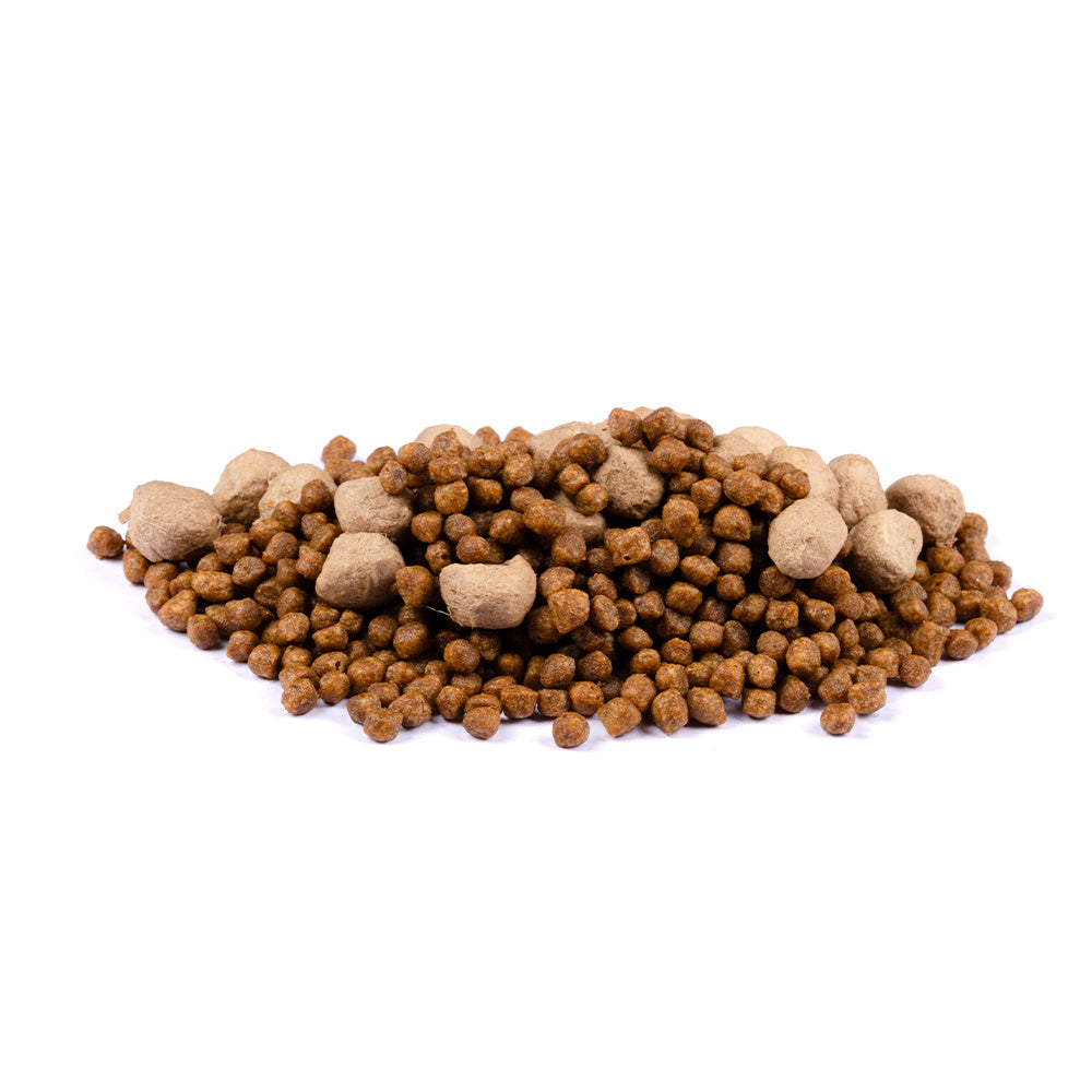 Bild von mehreren Kroketten des Produktes: Brit Care Dog Mini Raw Delights Premium Trockenfutter mit gefriergetrocknetem Topping für adulte Hunde kleiner Rassen Beef Rind