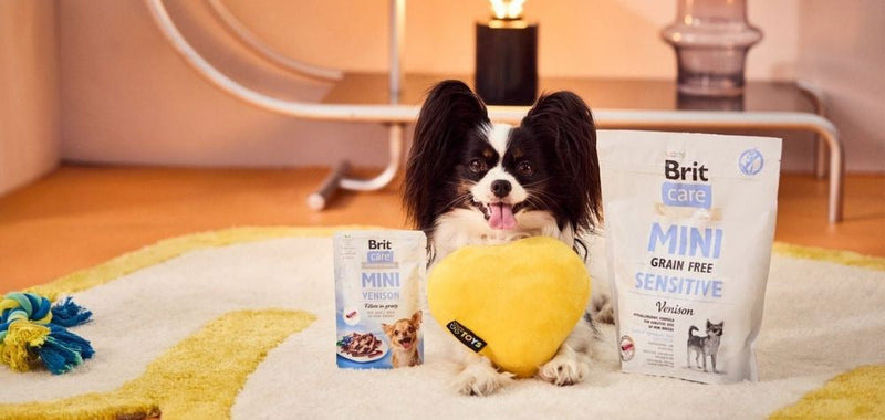 Jetzt 15 % auf Brit Care Mini sparen