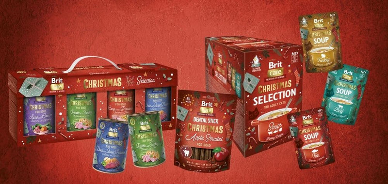 Die schönste Zeit des Jahres steht vor der Tür 🎅