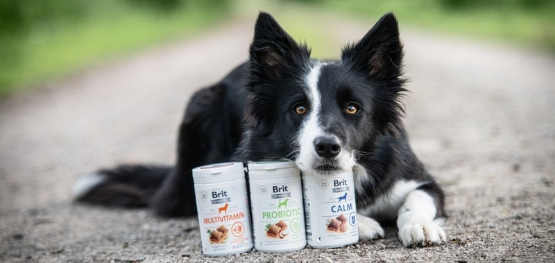 Fit in den Frühling 🌸