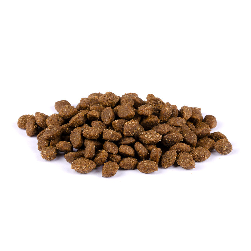 Bild von mehreren Kroketten des Produktes: Brit Fresh Premium Trockenfutter für adulte aktive Hunde Run & Work - Duck with Millet Ente und Hirse