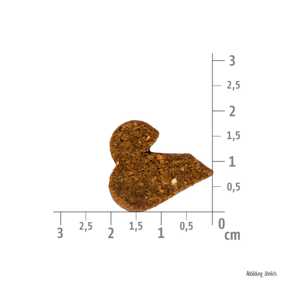 Bild von der Größe vom Snack des Produktes: Brit Hund Premium Soft Functional Snack Immunity für Immunität - Insect Ginger Insekt mit Ingwer