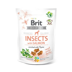 Crunchy Snack - Insekt mit Lachs und Thymian