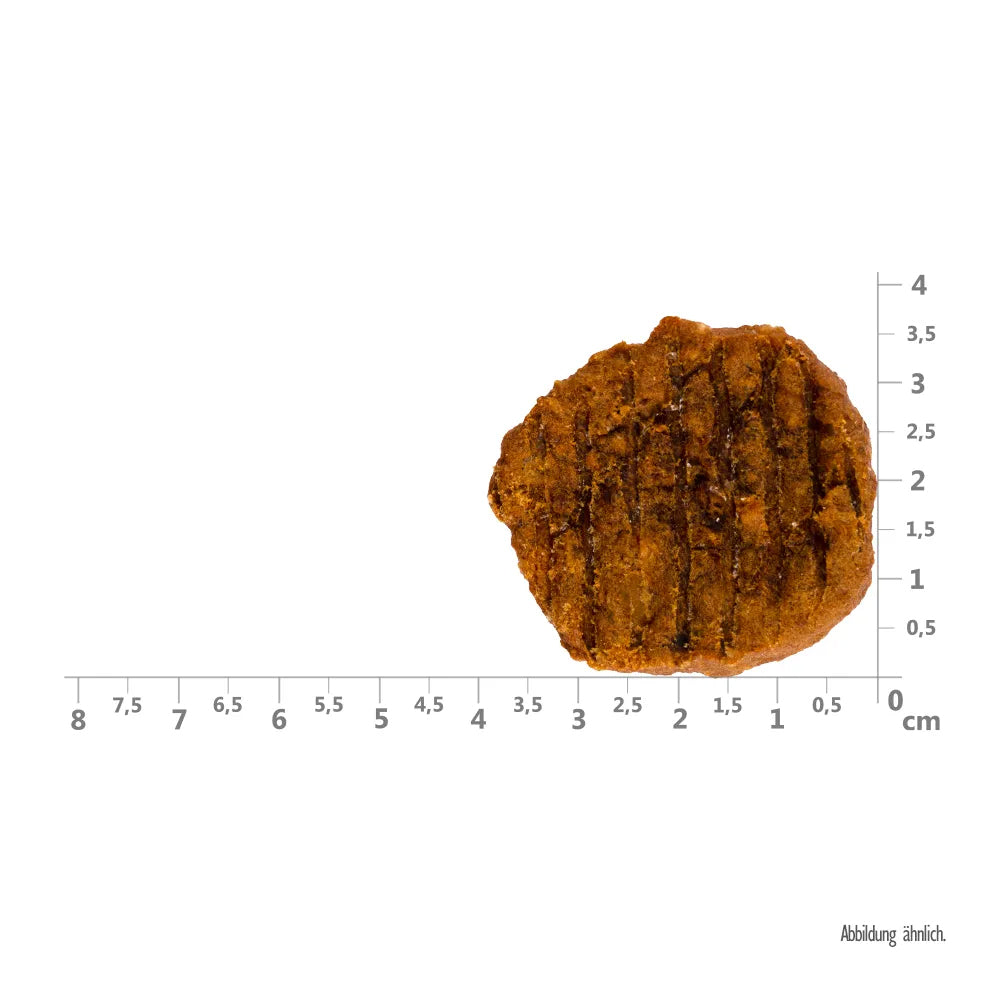 Bild von der Größe vom Snack des Produktes: Brit Hund Premium Meaty Jerky Snack Luftgetrocknete Fleischtaler Turkey Truthahn