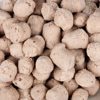 Gefriergetrockneter Snack - Huhn - Digestion