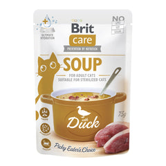 Suppe - mit Ente