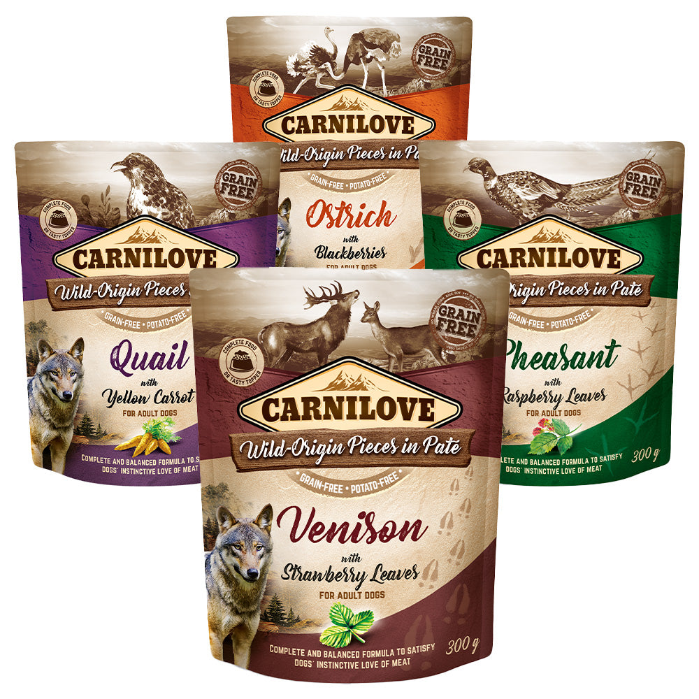 Carnilove Hund Premium Nassfutter Pouch Adult Probierpaket Fit and Strong 4x300g