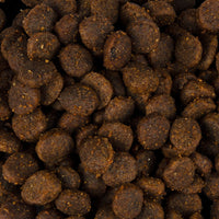 Trockenfutter - Adult - Ente und Fasan - Hairball Control