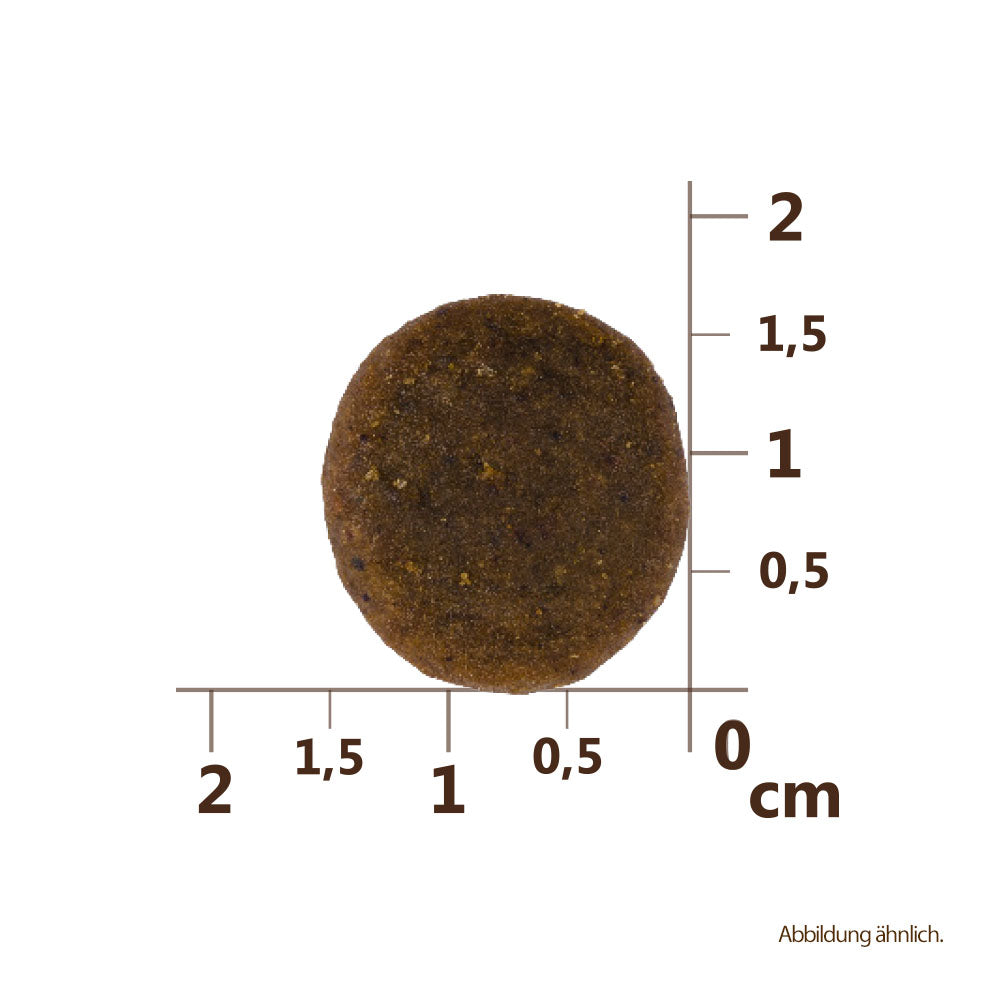 Bild von der Größe der Krokette des Produktes: Carnilove True Fresh Premium Trockenfutter für Adulte Hunde Fresh Fish Frischer Fisch