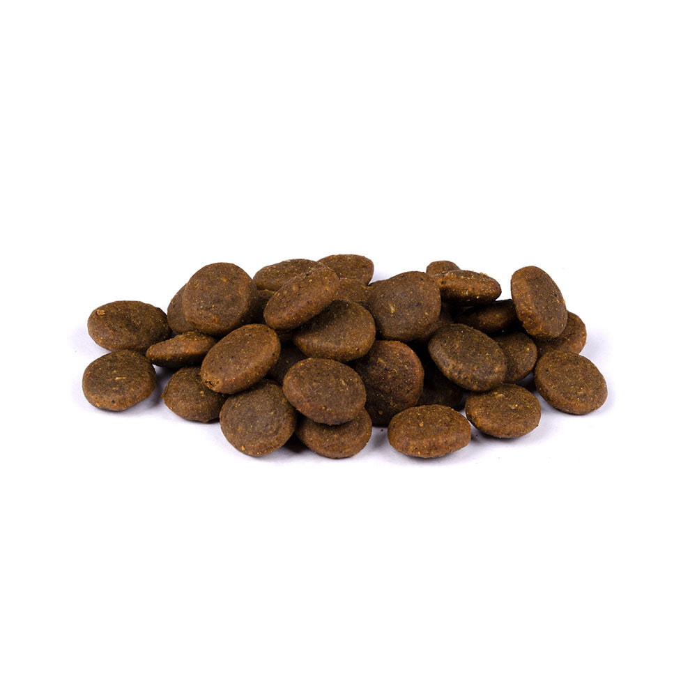 Bild von mehreren Kroketten des Produktes: Carnilove True Fresh Premium Trockenfutter für Adulte Hunde Fresh Fish Frischer Fisch