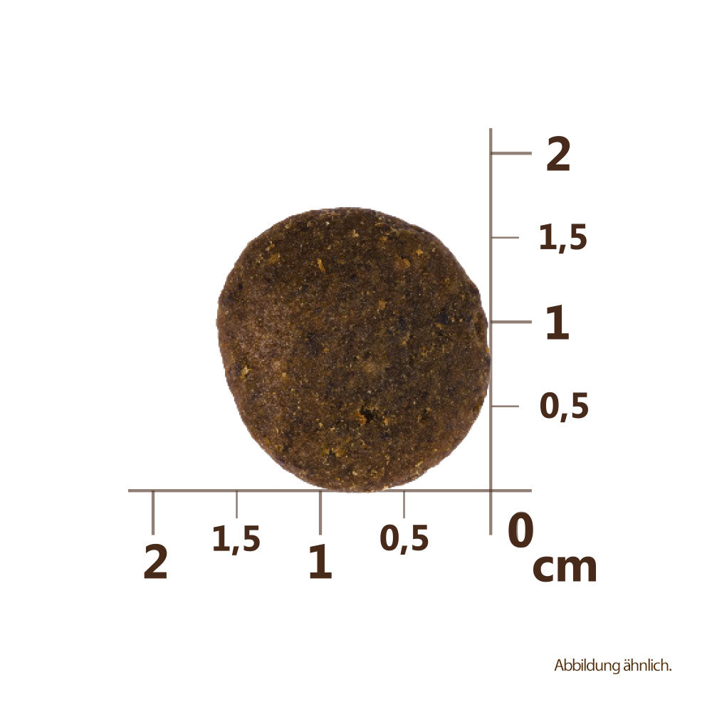 Bild von der Größe der Krokette des Produktes: Carnilove True Fresh Premium Trockenfutter für Adulte Hunde Fresh Turkey Frischer Truthahn