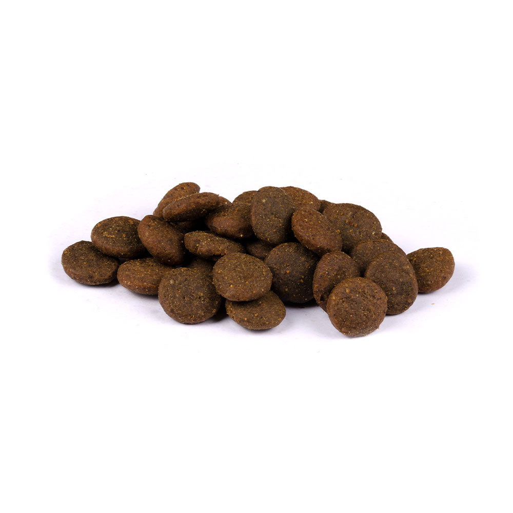 Bild von mehreren Kroketten des Produktes: Carnilove True Fresh Premium Trockenfutter für Adulte Hunde Fresh Turkey Frischer Truthahn