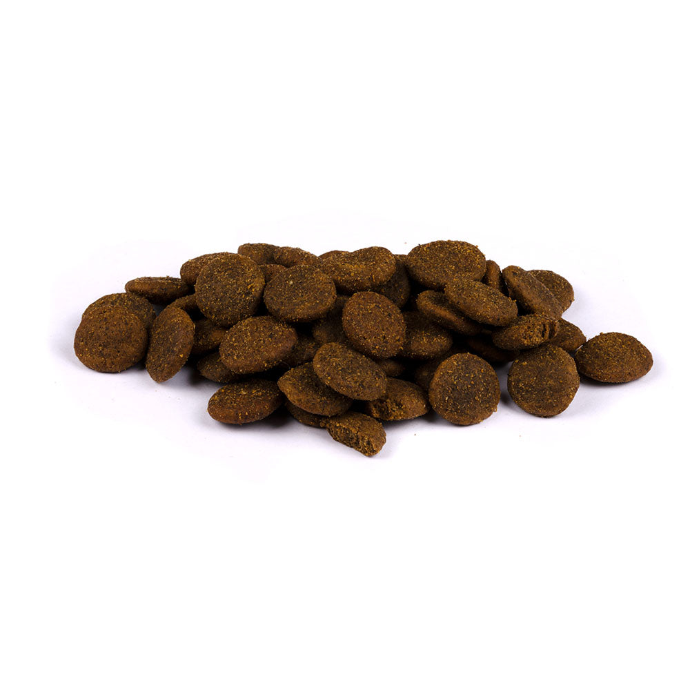 Bild von mehreren Kroketten des Produktes: Carnilove True Fresh Premium Trockenfutter für Adulte Hunde großer Rassen Fresh Duck Large Breed Frische Ente
