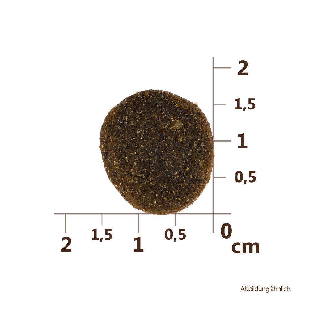 Bild von der Größe der Krokette des Produktes: Carnilove True Fresh Premium Trockenfutter für Welpen großer Rassen Fresh Chicken Junior Large Breed Frisches Huhn