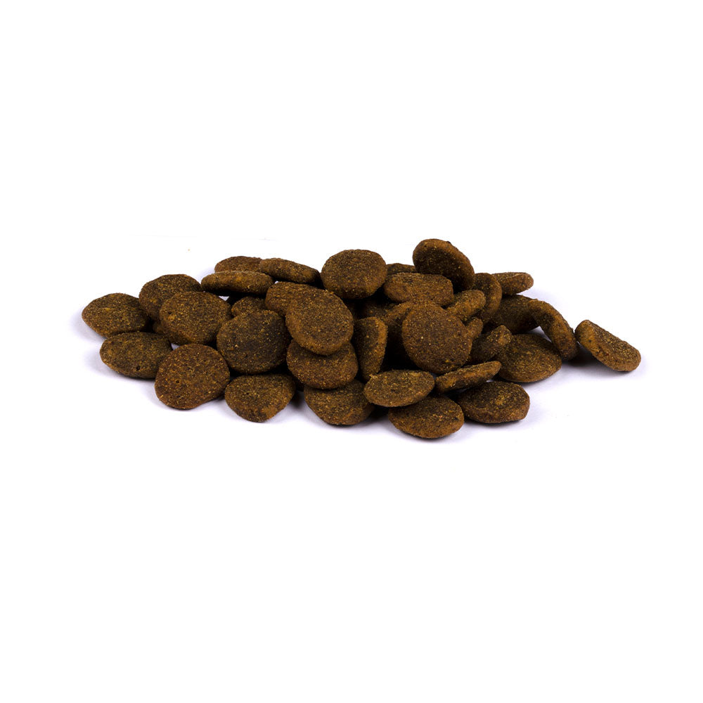 Bild von mehreren Kroketten des Produktes: Carnilove True Fresh Premium Trockenfutter für Welpen großer Rassen Fresh Chicken Junior Large Breed Frisches Huhn