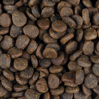 Trockenfutter Monoprotein - Welpe - Truthahn