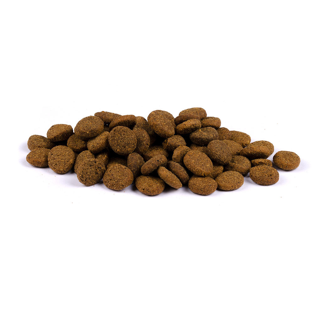 Bild von mehreren Kroketten des Produktes: Carnilove True Fresh Premium Trockenfutter Senior Healthy Weight Fresh Chicken älterer Hund Gewichtskontrolle Frisches Huhn