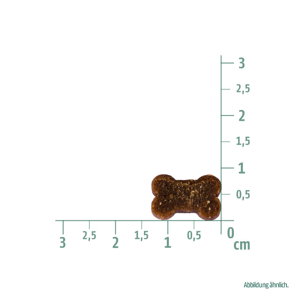 Bild von der Größe des Snacks des Produktes: Christopherus Hund Soft Snack - Soft im Biss Ente