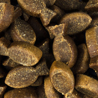 Soft Snack - Forelle und Insekt