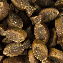 Vorschaubild von Soft Snack - Forelle und Insekt