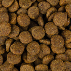 Vorschaubild von Vegetarisches Trockenfutter - Adult - Erbse, Tapioka mit Kürbis