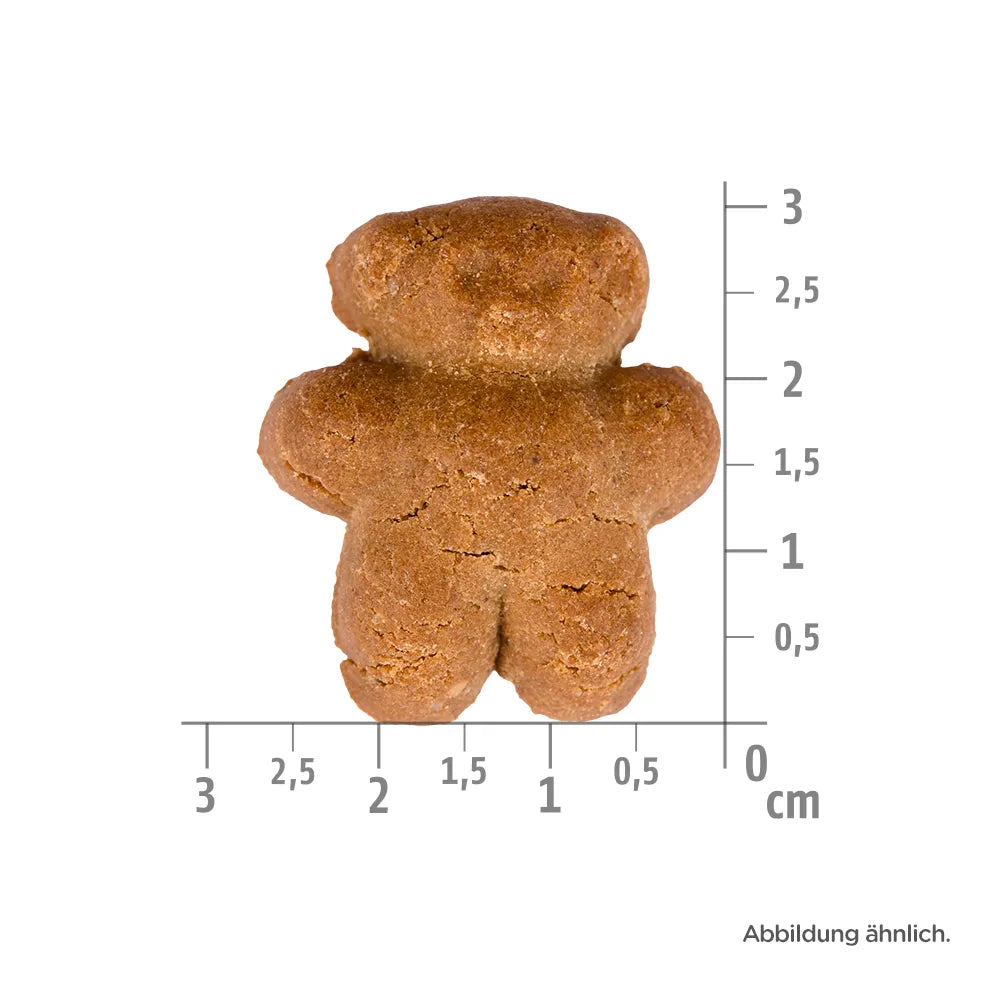 Bild von der Größe des Snacks des Produktes: Allco getreidefreie gebackene Hundekuchen Snacks für adulte Hunde - Lachsbären lose im 10kg Karton