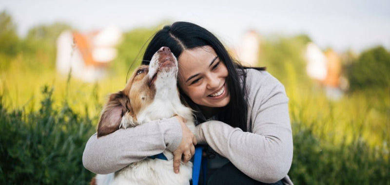 Jetzt sparen zum Valentinstag: 14 % Rabatt auf Snacks für Hunde und Katzen 💕