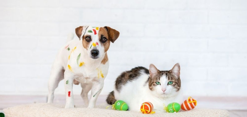 Ostern wird lecker! Jetzt 15 % auf Snacks sparen
